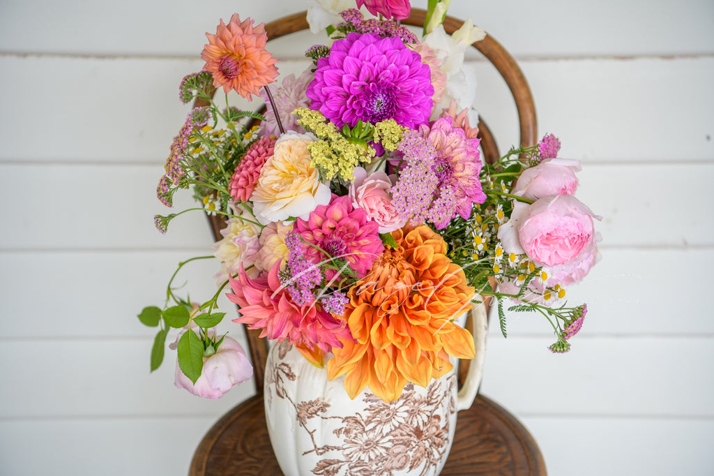 Gwyngana Dahlias