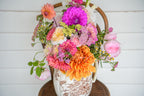 Gwyngana Dahlias