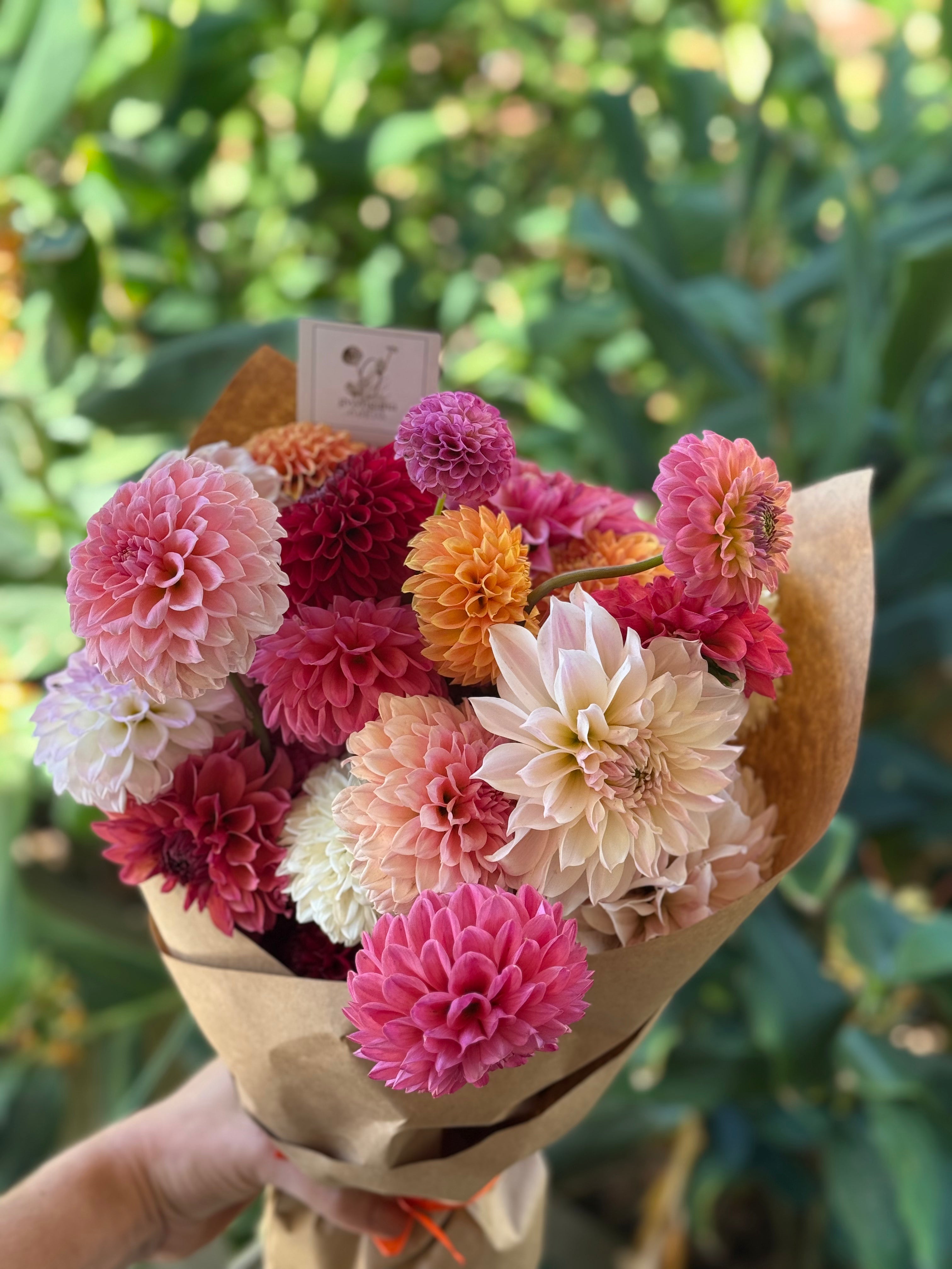 Gwyngana Dahlias